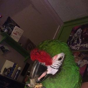 Meet your Posher, Christy